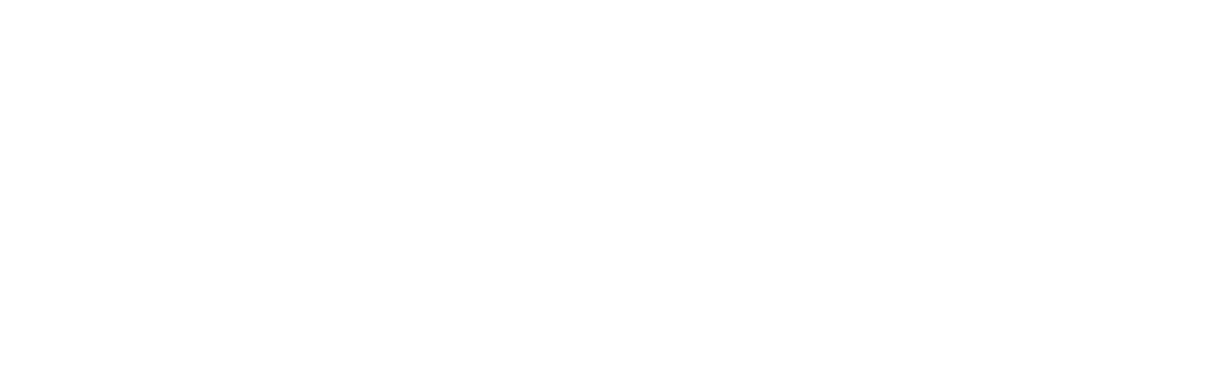 Triton Studios